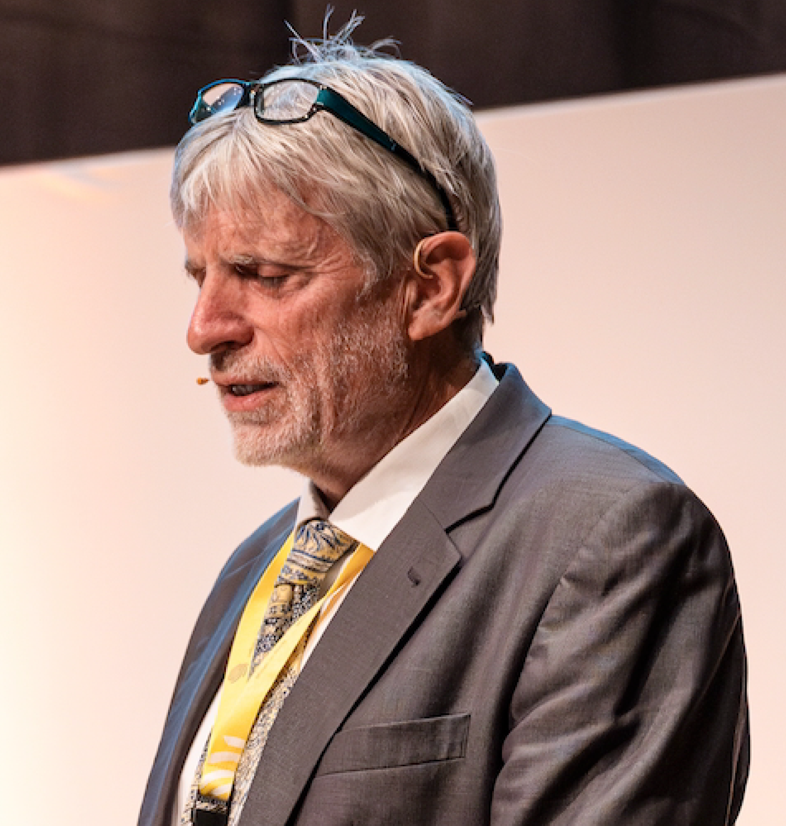 Ulrich-Meier